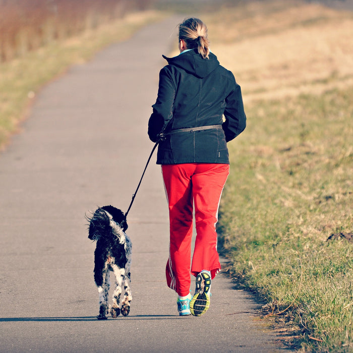 Jogging con il nostro amato fido