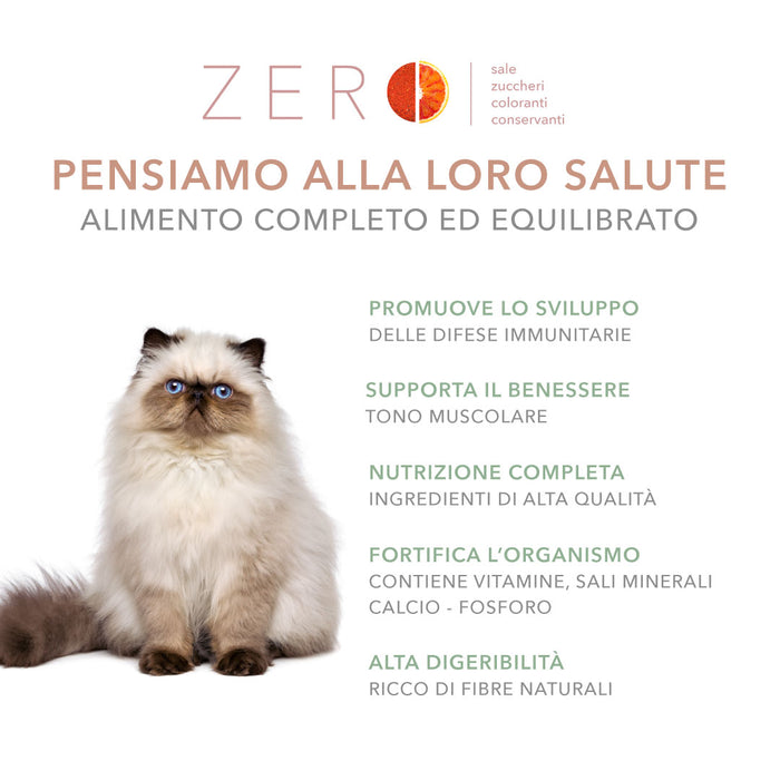 Tasty Pet Confezione di Alimento Completo Umido per Gatti - 5116 Sfilacci di Prosciutto Pollo e Zucca